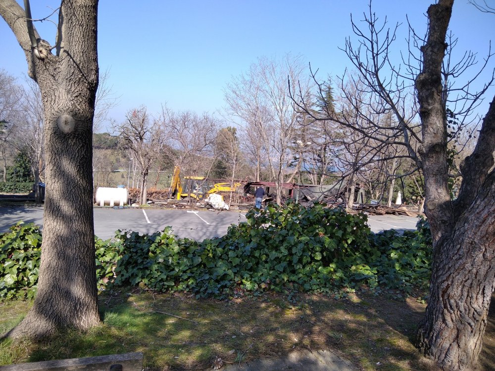 Toplumsal- Boğaziçi Üniversitesi Ağaç Ev enkazı